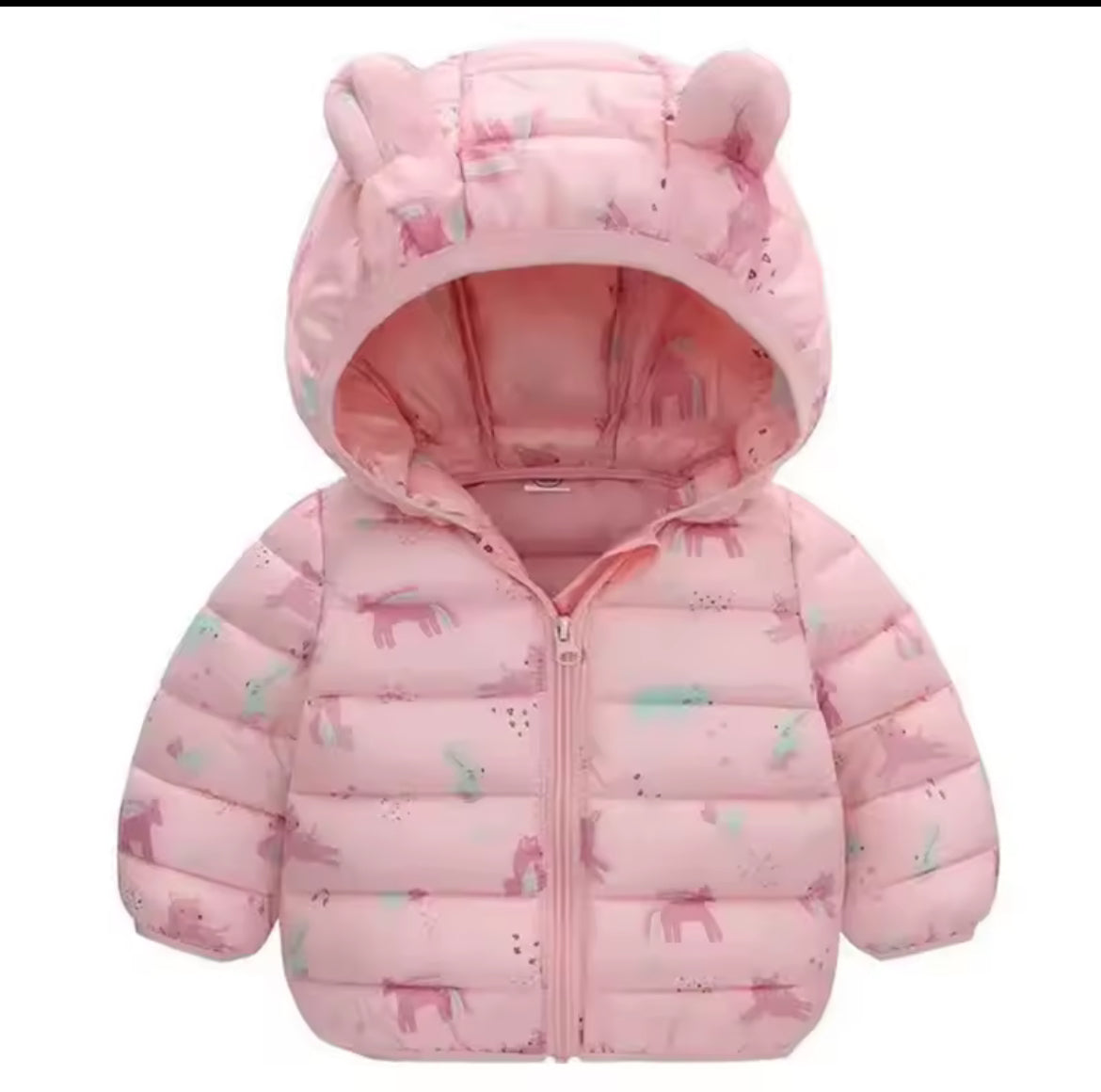 Boys & Girls Dinosaur Coat