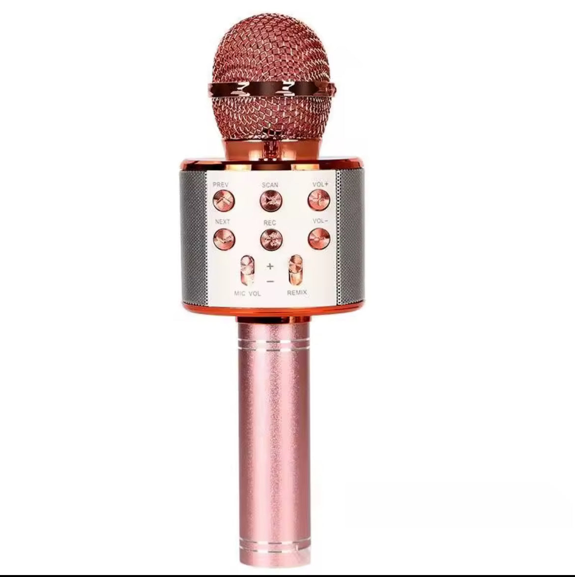 Mic Phone