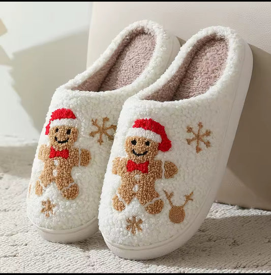 Christmas Slippers