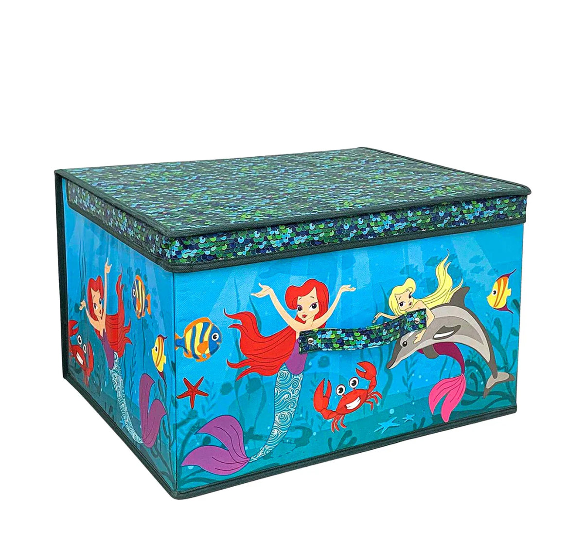 Large Storage box
