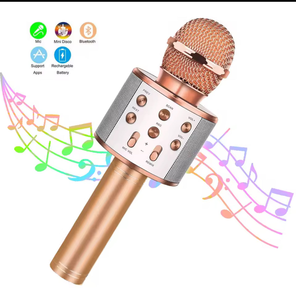 Mic Phone