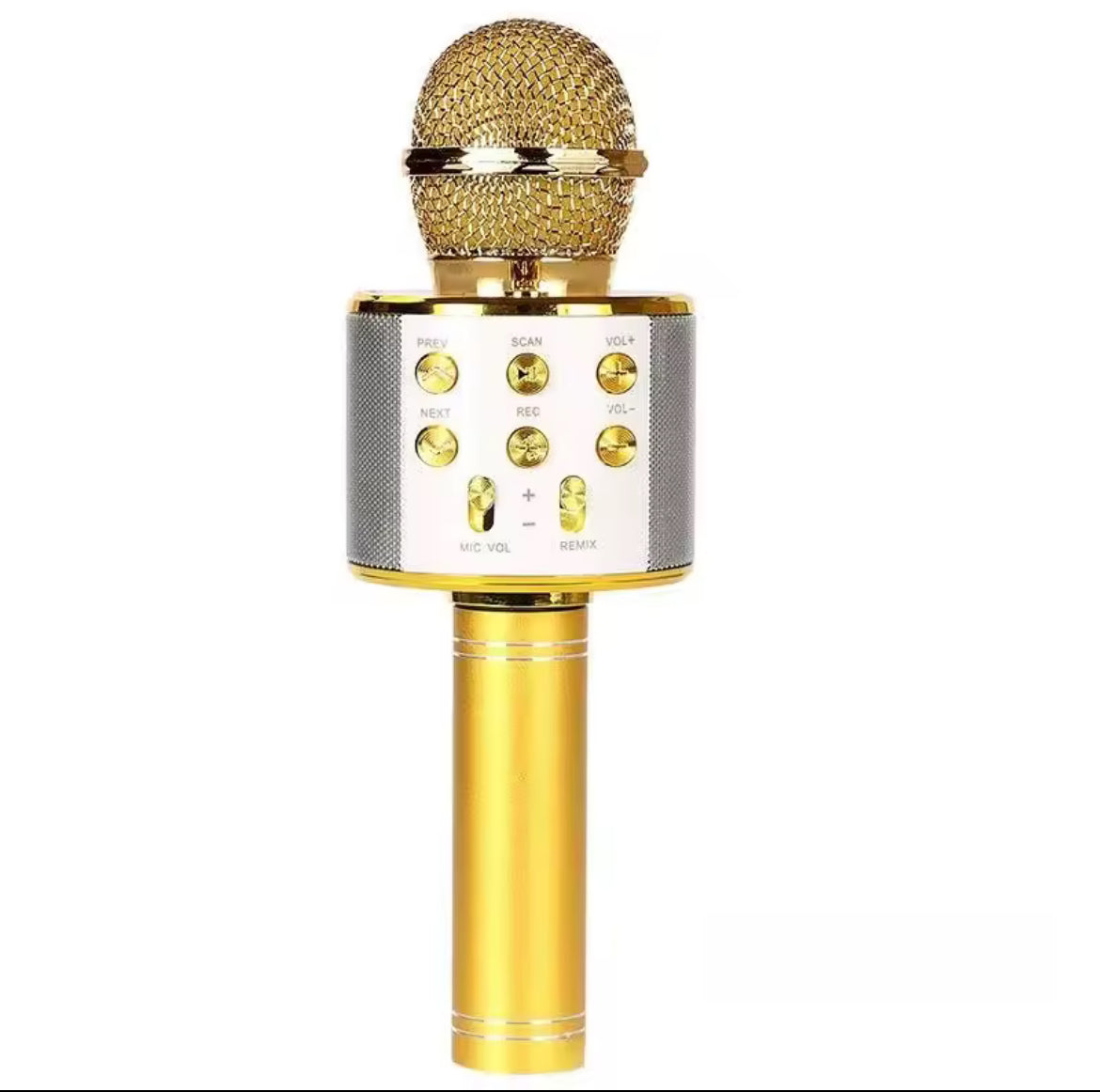 Mic Phone