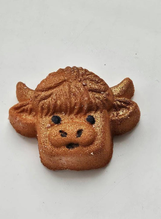 Highland COO